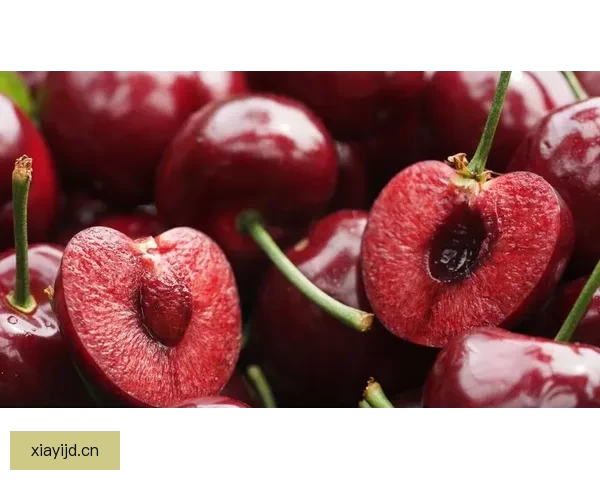 樱桃视频，解锁无限精彩，尽在你掌中